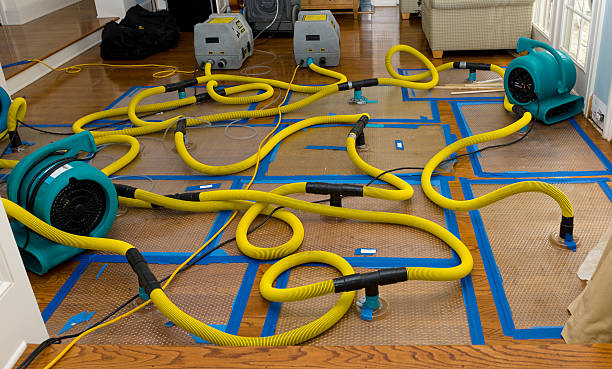 Professional Crawl Space Water Removal technician working in Geraldine, AL
